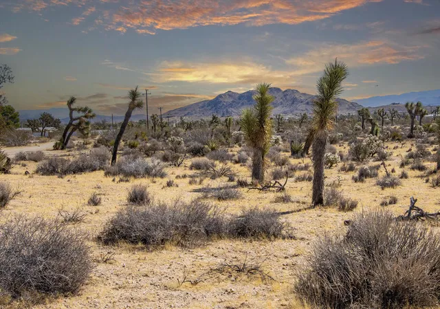 Photo 1 of Land for sale at 58470 Mesa Dr, Yucca Valley, CA 92284 | MLS# 219153715PS | Listing updated on 2026-10-03