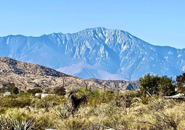 Land for sale at 135 Bardell Rd, Morongo Valley, CA 92256 | MLS# 219153818PS