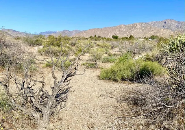 Photo 2 of Land for sale at 135 Bardell Rd, Morongo Valley, CA 92256 | MLS# 219153818PS | Listing updated on 2026-10-05