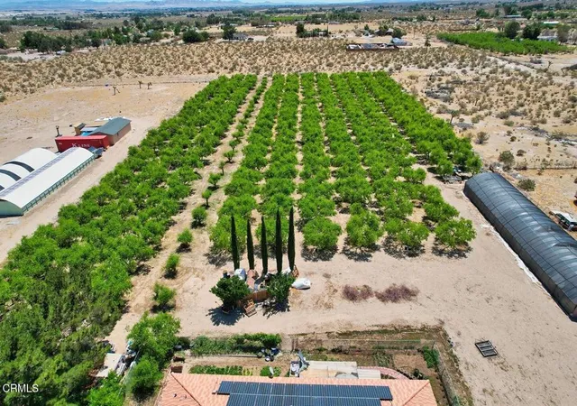 Photo 2 of Single family home for sale at 9975 Custer Ave, Lucerne Valley, CA 92356 | MLS# P1-29125 | Listing updated on 2026-10-07