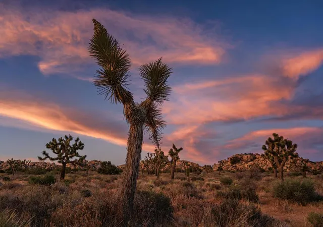 Photo 1 of Land for sale at 0 Gods Way Love Rd, Pioneertown, CA 92268 | MLS# 219153881DA | Listing updated on 2026-10-07