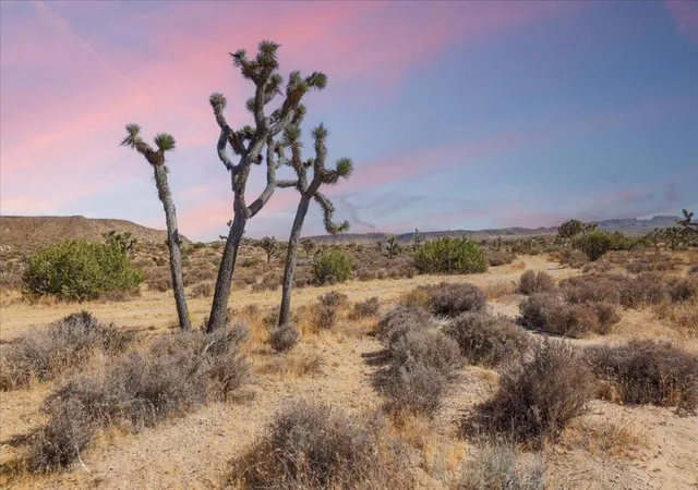 Photo 3 of Land for sale at 0 Gods Way Love Rd, Pioneertown, CA 92268 | MLS# 219153881DA | Listing updated on 2026-10-07