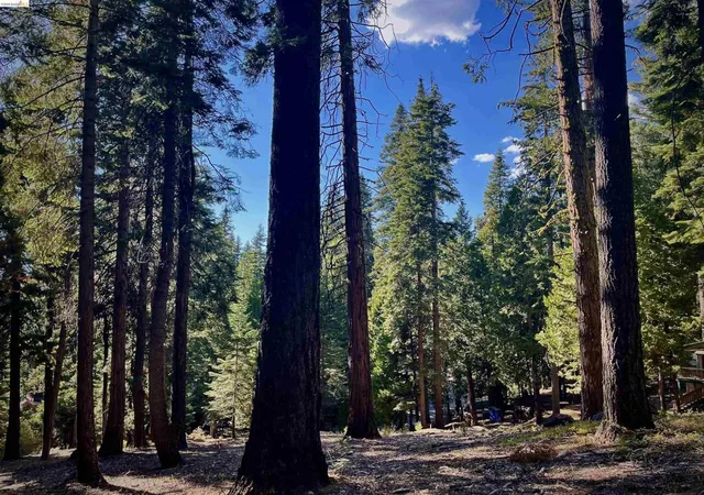 Photo 1 of Land for sale at 5125 Hokan Cir, Arnold, CA 95223 | MLS# 41150496 | Listing updated on 2026-10-07