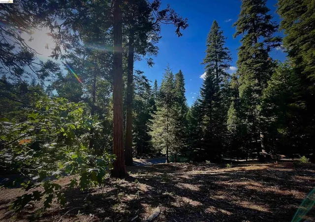 Photo 2 of Land for sale at 5125 Hokan Cir, Arnold, CA 95223 | MLS# 41150496 | Listing updated on 2026-10-07