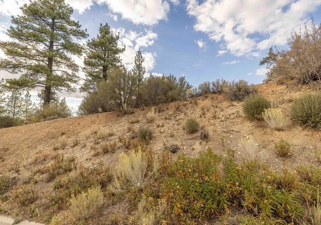 Photo 3 of Land for sale at 509 Woodbridge Dr, Big Bear, CA 92314 | MLS# 219153940PS | Listing updated on 2026-10-07
