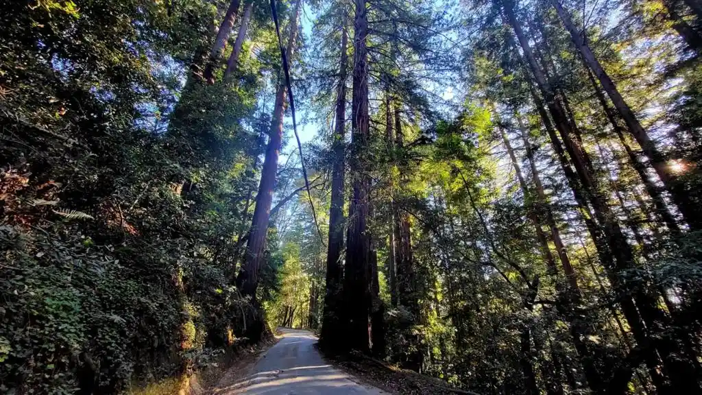 Land for sale at 0 Redwood Lodge Rd, Los Gatos, CA 95033 | MLS# ML82064036