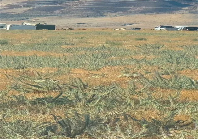 Photo 3 of Land for sale at 120 Th Ave F8, Lancaster, CA 93536 | MLS# SR26219770 | Listing updated on 2026-10-31
