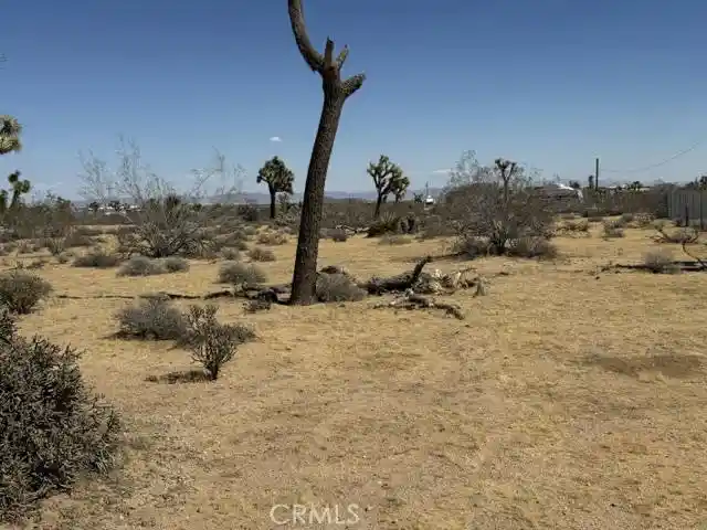 Photo 1 of Land for sale at 1234 Alta, Yucca Valley, CA 92284 | MLS# JT26217551 | Listing updated on 2026-10-09