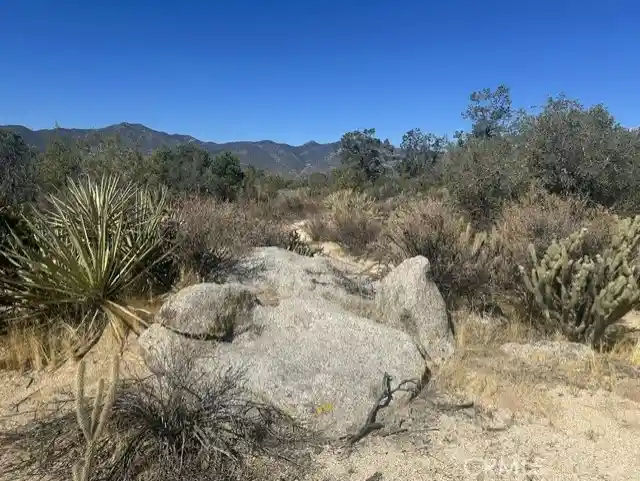 Land for sale at 319 Alpine Dr, Mountain Center, CA 92561 | MLS# SW26220303