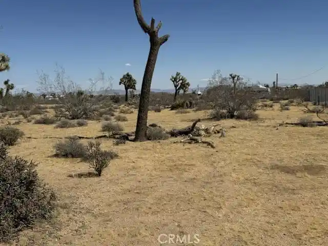 Photo 1 of Land for sale at 1234 Alta Ave, Yucca Valley, CA 92284 | MLS# JT26218158 | Listing updated on 2026-10-10