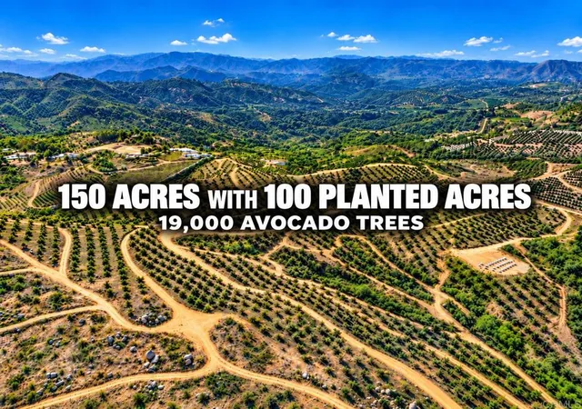 Land for sale at 45000 Rancho Fallbrook Rd, Temecula, CA 92590 | MLS# PTP2607663