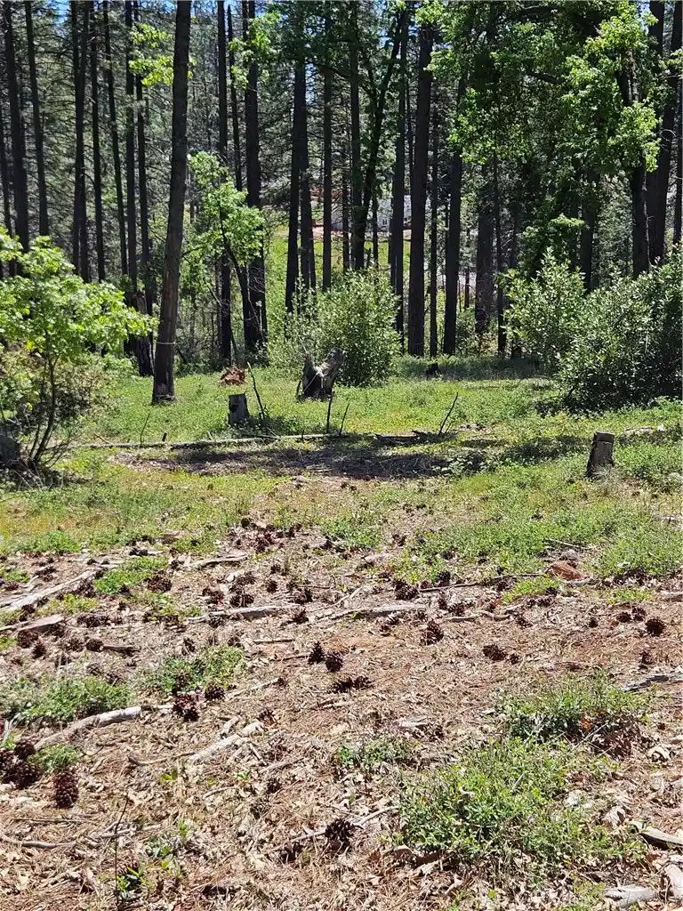 Photo 1 of Land for sale at 0 Boeta Ct, Paradise, CA 95969 | MLS# PA26221625 | Listing updated on 2026-10-16