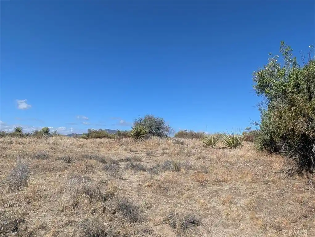 Photo 1 of Land for sale at 0 Old Forest Rd, Anza, CA 92539 | MLS# SW26224735 | Listing updated on 2026-10-27