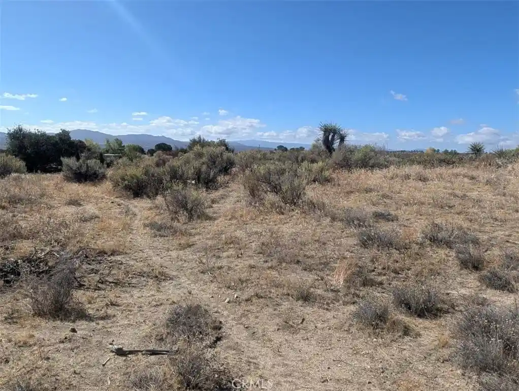 Photo 1 of Land for sale at 0 Lanik Ln, Anza, CA 92539 | MLS# SW26224777 | Listing updated on 2026-10-16