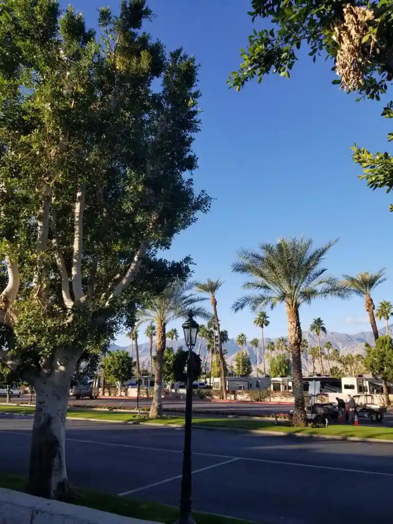 Land for sale at 69411 Ramon Rd #591, Cathedral City, CA 92234 | MLS# 219154544DA
