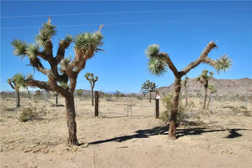 Land for sale at 58807 Philippi, Landers, CA 92285 | MLS# IG26225779