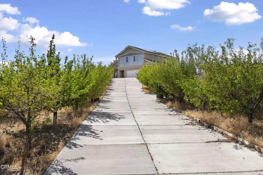 Single family home for sale at 8671 Deer Hvn Dr, Pinon Hills, CA 92372 | MLS# P1-29294