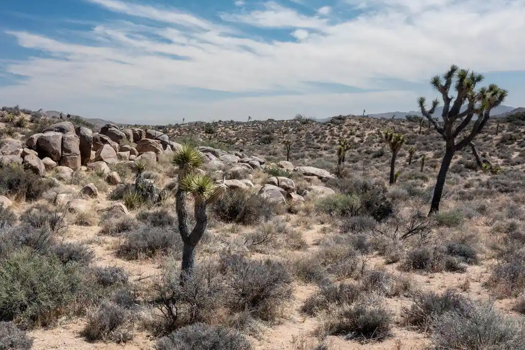 Photo 1 of Land for sale at 101 Hondo St, Pioneertown, CA 92268 | MLS# 219154802PS | Listing updated on 2026-10-30