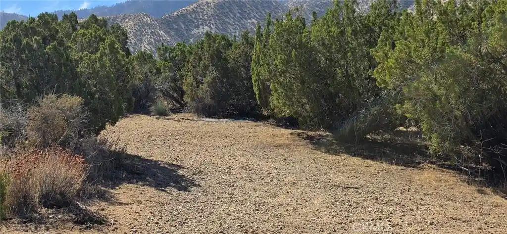 Land for sale at 0 121st, Littlerock, CA 93543 | MLS# SR26231679