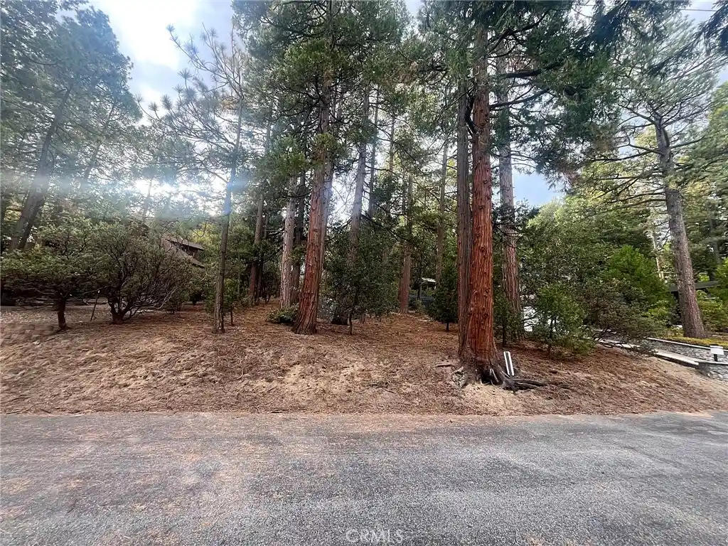 Land for sale at 0 Double Tree Dr, Idyllwild, CA 92549 | MLS# IG26231481