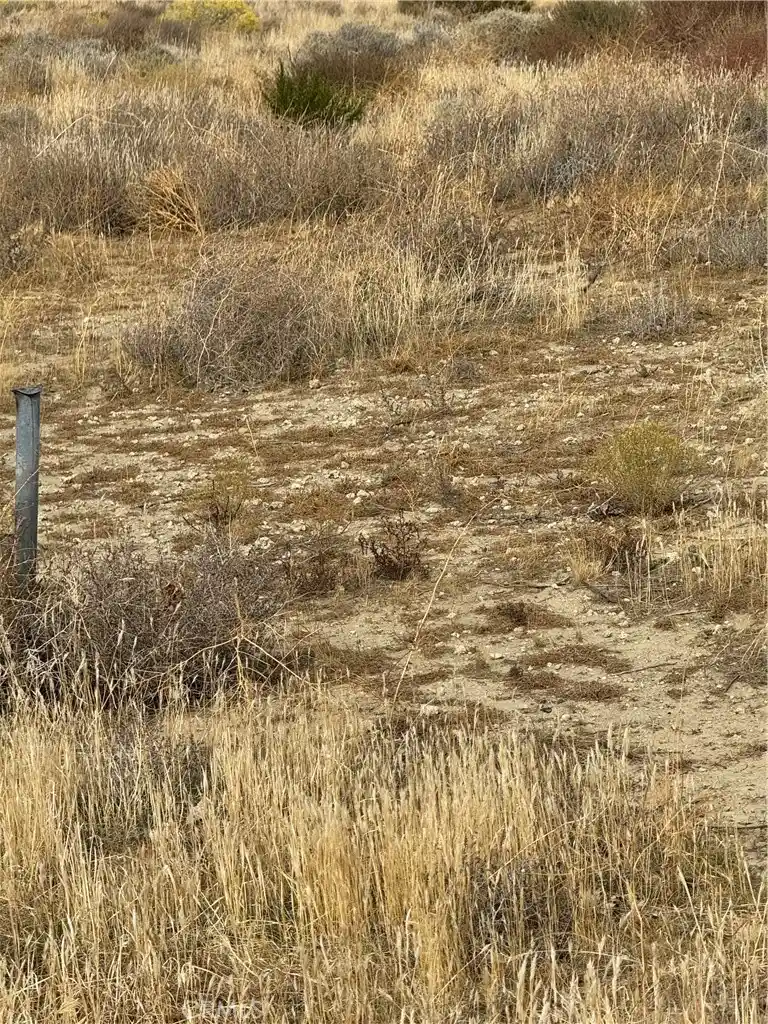 Land for sale at 0 110th Street W, Rosamond, CA 93560 | MLS# SR26230993