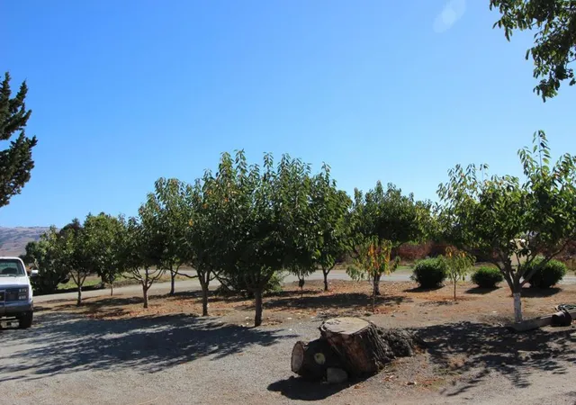 Homes for sale in Gilroy, CA | 2025 Pacheco Pass Hwy, Gilroy, CA 95020 | MLS# ML81613619