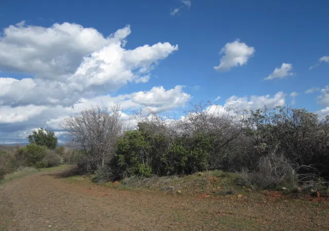 1st image of 0 Sky Ct, Chico, CA 95928 | MLS# CH15042839