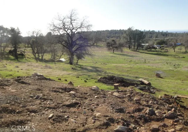 2nd image of 0 Old Olive Hwy, Oroville, CA 95966 | MLS# OR20000305
