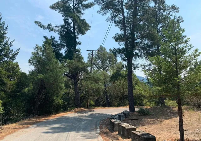 Homes for sale in Boulder Creek, CA | 950 Middleton Dr, Boulder Creek, CA 95006 | MLS# ML81807489