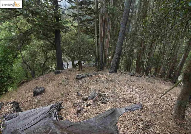3rd image of 6050 Balboa Dr, Oakland, CA 94611 | MLS# 40919362