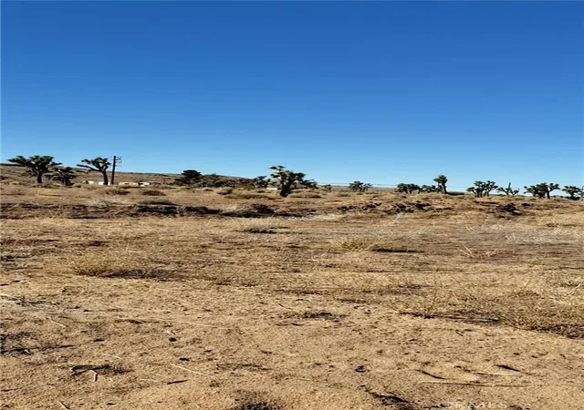 4th image of 56825 Sun Oro Dr, Yucca Valley, CA 92284 | MLS# JT21011776