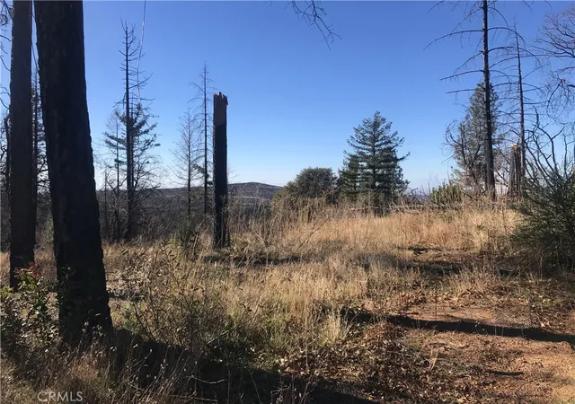 Photo 1 of Land for sale at 0 Buchner, Feather Falls, CA 95916 | MLS# PA21139705 | Listing updated on 2026-07-09
