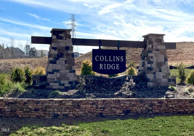 Photo 41 of Sale Pending at 317 Flt River Run, Hillsborough, NC 27278 | MLS# 10146961 | Listing updated on 2026-02-17