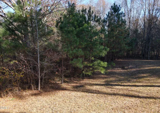 Photo 7 of Land for sale at 0 Old Halifax Rd, Zebulon, NC 27597 | MLS# 10135189 | Listing updated on 2026-05-12