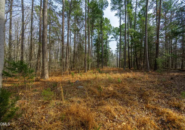Photo 8 of Land for sale at 2430 Jones Fry Rd, Pittsboro, NC 27312 | MLS# 10152745 | Listing updated on 2026-03-16