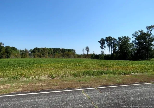 Photo 2 of Land for sale at Tbd Cowpen Swamp Rd, Fairmont, NC 28340 | MLS# 753990 | Listing updated on 2025-11-29