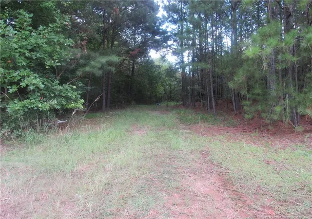 Photo 1 of Land for sale at 0 Boone Trail Rd, Sanford, NC 27330 | MLS# 732913 | Listing updated on 2026-03-30