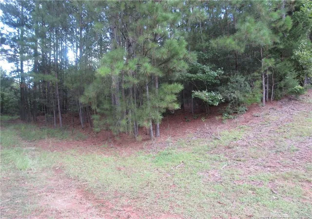 Photo 2 of Land for sale at 0 Boone Trail Rd, Sanford, NC 27330 | MLS# 732913 | Listing updated on 2026-03-30