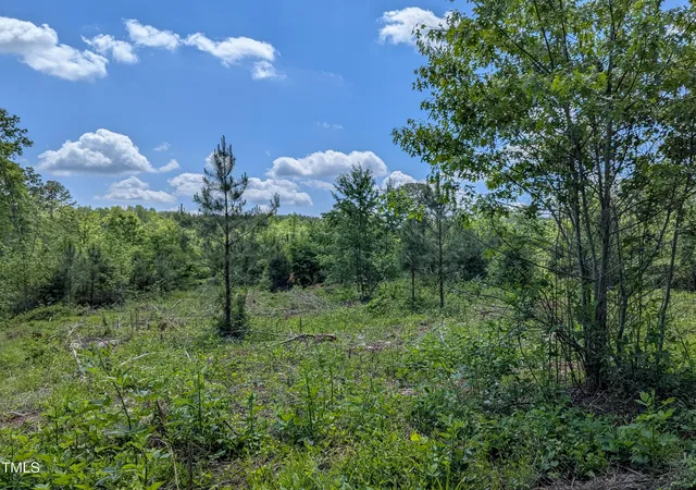 Photo 1 of Land for sale at 0 Cypress Crk Dr, Louisburg, NC 27549 | MLS# 10149680 | Listing updated on 2026-03-03