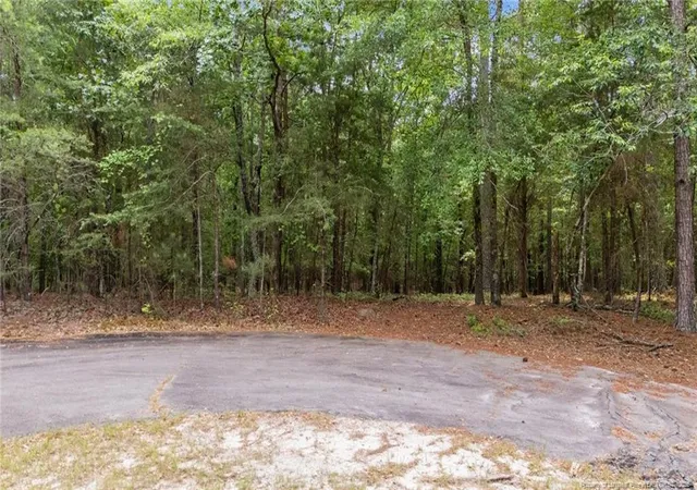 Photo 2 of Sale Pending at 111 Millstone Ct, West End, NC 27376 | MLS# 744364 | Listing updated on 2026-05-04