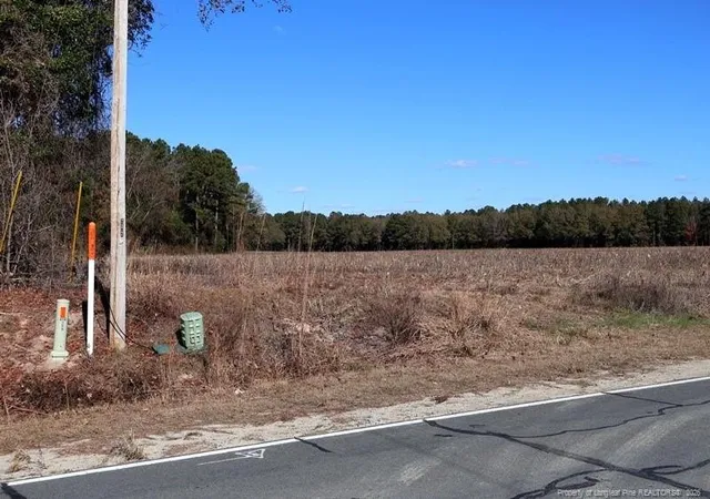 Photo 2 of Single family home for sale at Tbd Stuarts Ml Rd, Fairmont, NC 28340 | MLS# 756073 | Listing updated on 2026-04-20