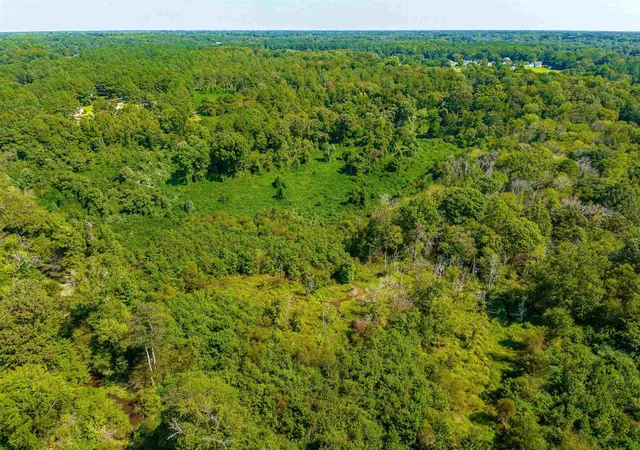 34th image of 0 Government Rd, Clayton, NC 27520 | MLS# 2434558
