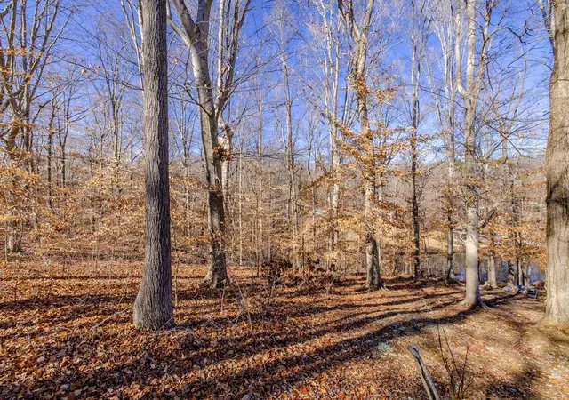 Homes for sale in Leasburg, NC | Lot #6 Deer Meadow Rd, Leasburg, NC 27291 | MLS# 2492251