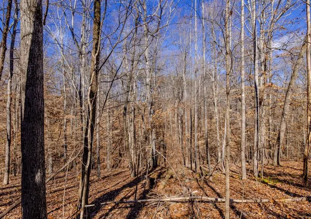 Homes for sale in Leasburg, NC | Lot #7a Deer Meadow Rd, Leasburg, NC 27291 | MLS# 2492255