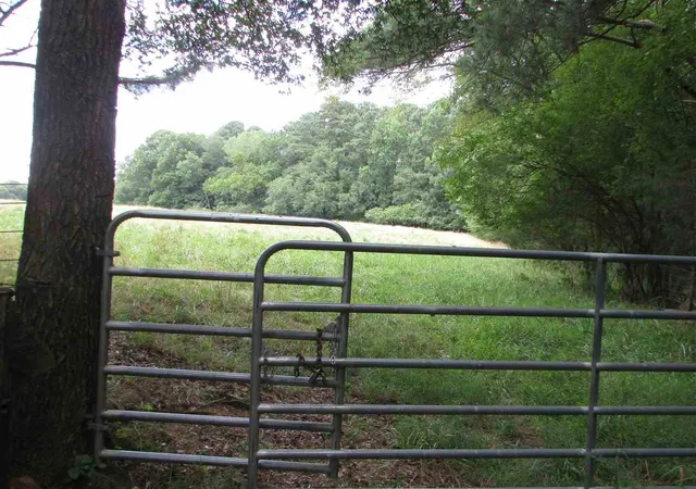 2nd image of Loves Creek Church Rd, Siler City, NC 27344 | MLS# 2396020