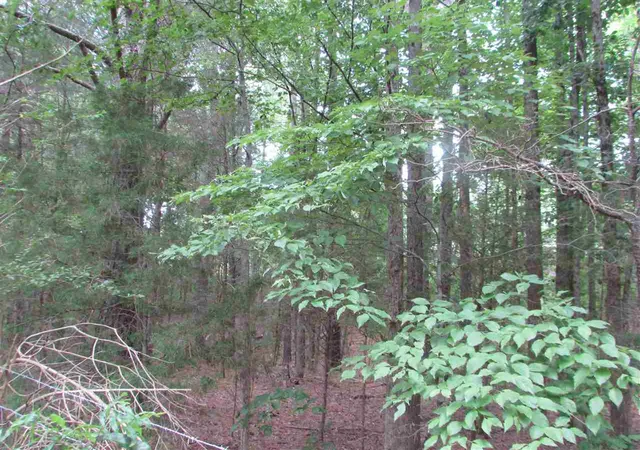 3rd image of Loves Creek Church Rd, Siler City, NC 27344 | MLS# 2396020
