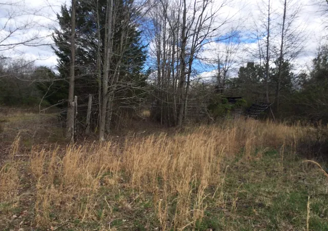 1st image of 5307 Oscar Gammon Rd, Mebane, NC 27302 | MLS# 2425909