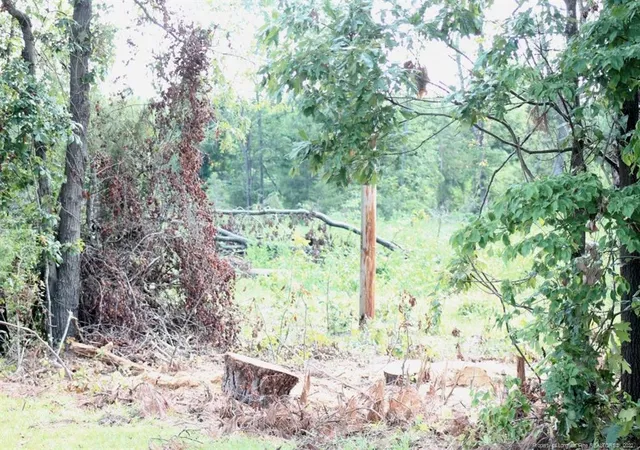 Photo 3 of Sale Pending at Laurinburg Road Hwy S, Raeford, NC 28376 | MLS# 638026 | Listing updated on 2026-07-18