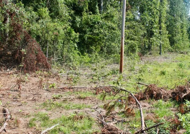 Photo 4 of Sale Pending at Laurinburg Road Hwy S, Raeford, NC 28376 | MLS# 638026 | Listing updated on 2026-07-18