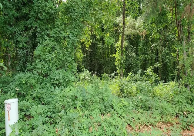 7th image of 0 Buckhorn Duncan Rd, Holly Springs, NC 27540 | MLS# 649042